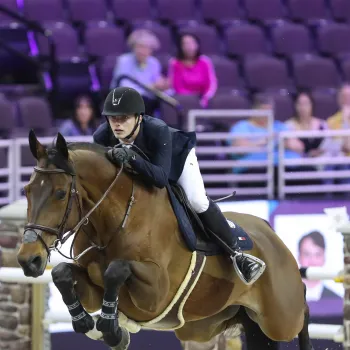 schmitz-hilfiger-horse