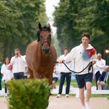 Safe arrival in Versailles