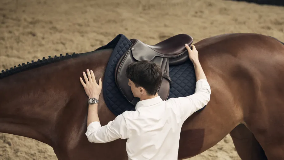 With Horse