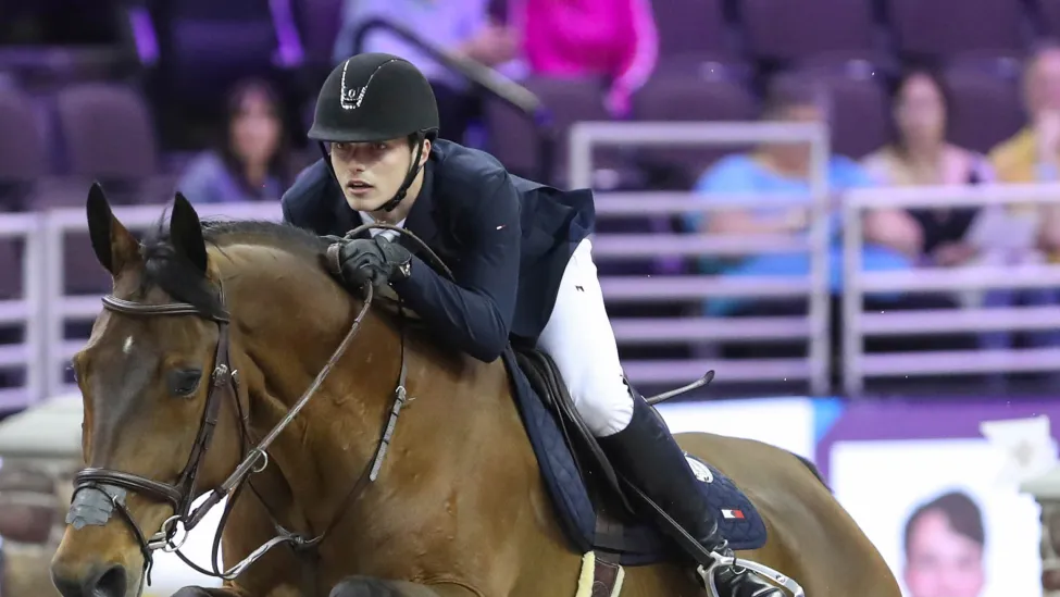 schmitz-hilfiger-horse